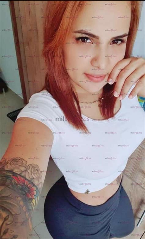 shemale escort medellin|Sophia Restrepo 